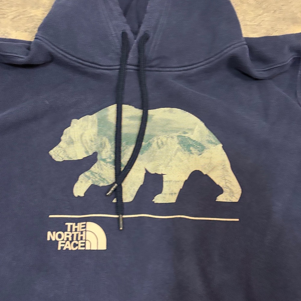 The North Face Hoodie Mens XL Bear Mountain Graphic Pullover Black ML053